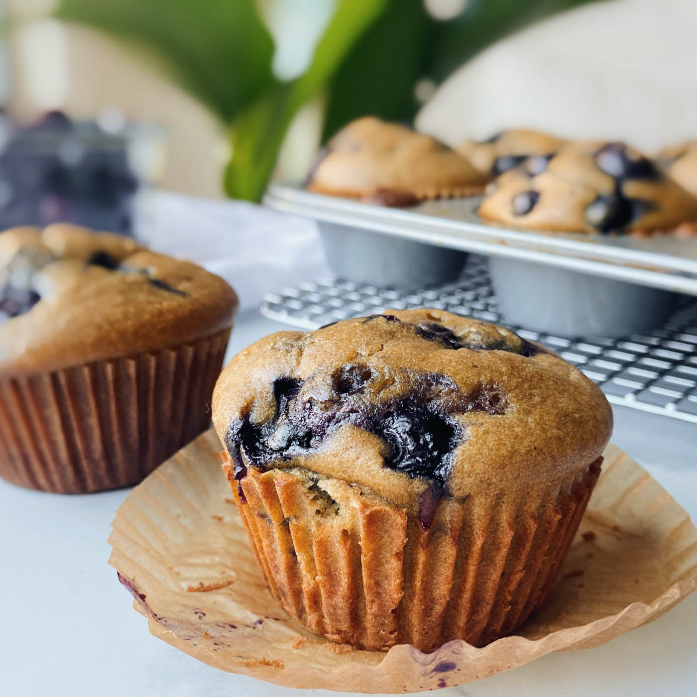 Sourdough Blueberry Muffins