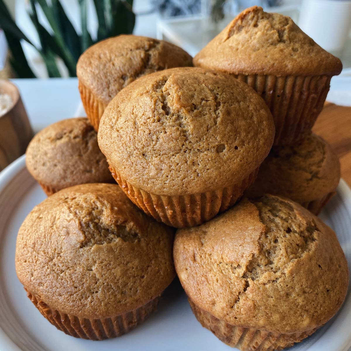 Sourdough Muffin Recipe