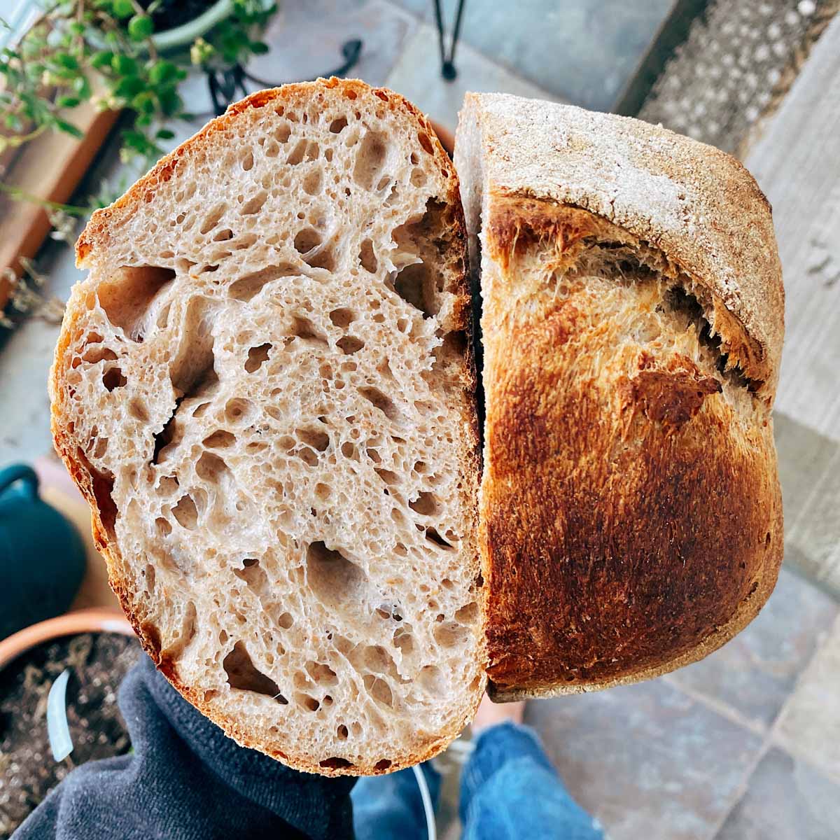 Beginner Sourdough Bread Recipe