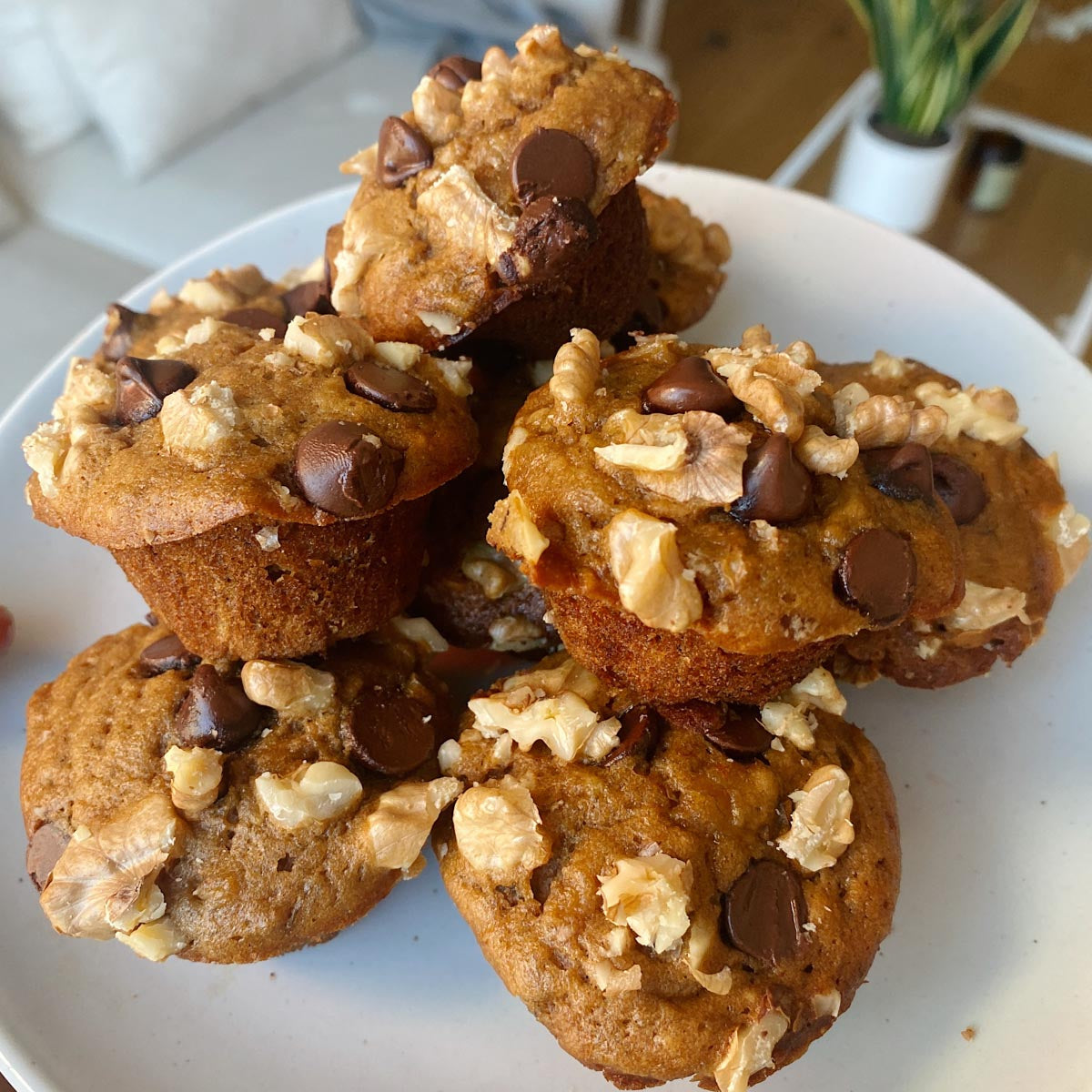 Healthy Sourdough Banana Chocolate Chip Muffins